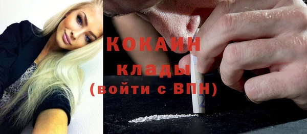 сатива Баксан