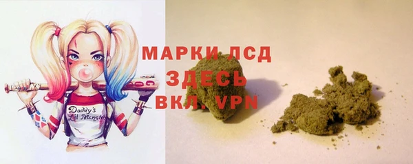 сатива Баксан