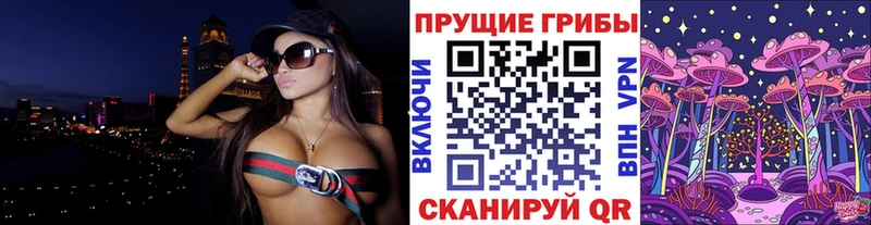 Галлюциногенные грибы Psilocybine cubensis  Туринск 